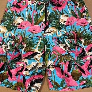 Loudmout flamingo shorts 34